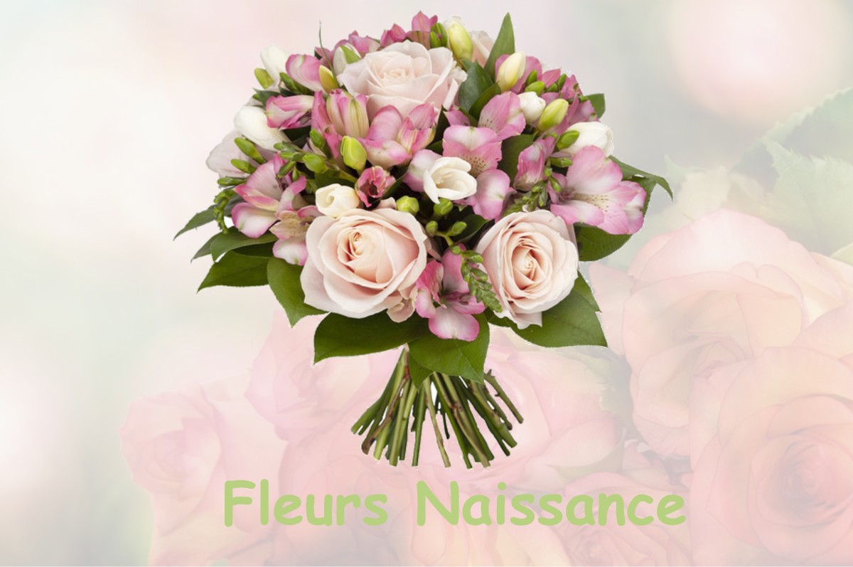 fleurs naissance SAINT-LUMINE-DE-COUTAIS